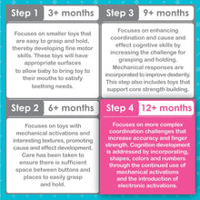 Load image into Gallery viewer, Smart Steps Smart Ship